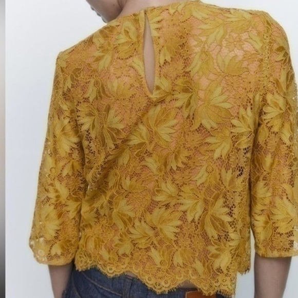 Zara Womens Mustard Lace Crop Top - Three-Quarter Sleeve Size XL - Picture 2 of 11